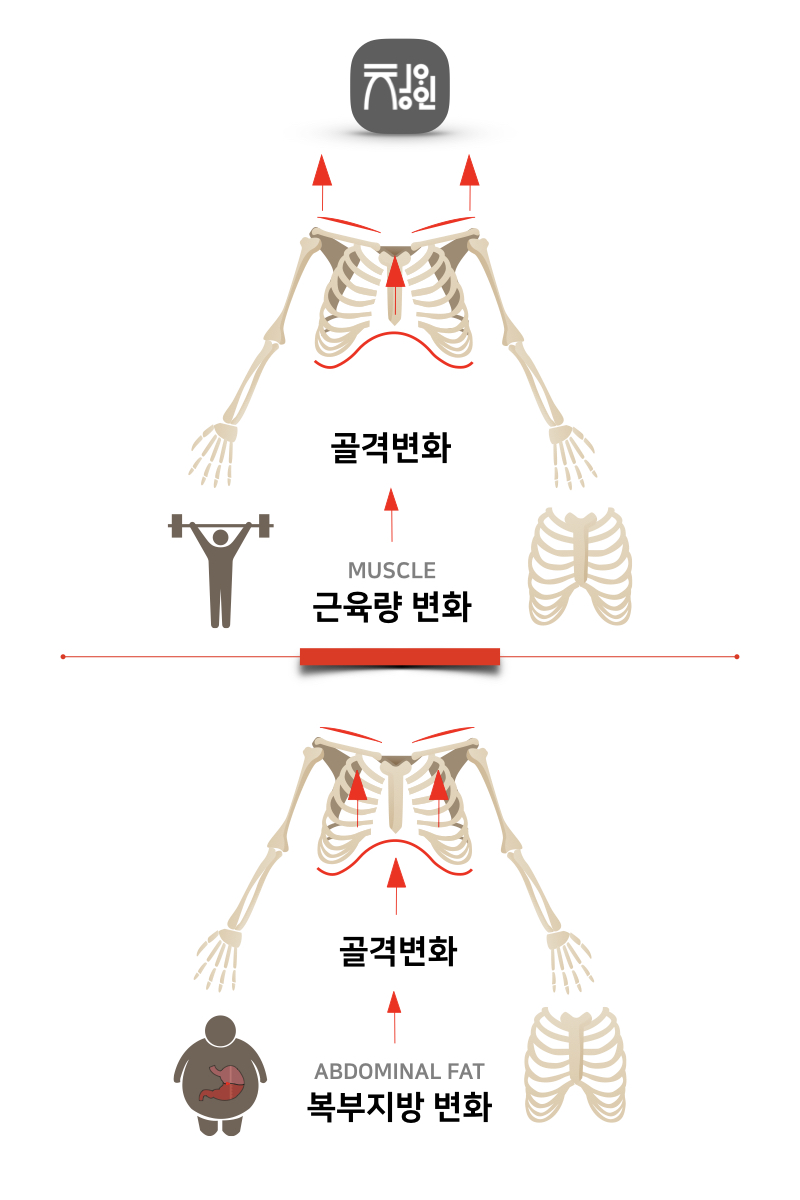 diet story-08.011.jpeg